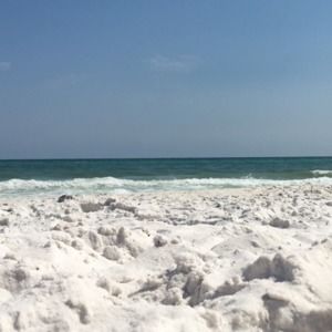 Meet your Posher, Audrey